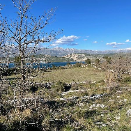 Villa Planita Dalmacija Novigrad  Eksteriør billede
