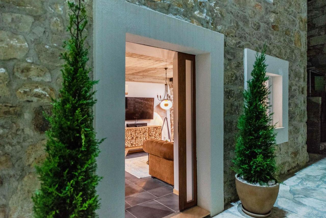 Villa Planita Dalmacija Novigrad  Eksteriør billede