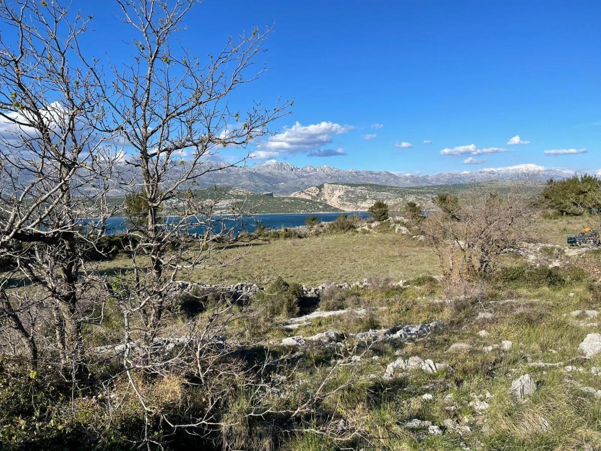 Villa Planita Dalmacija Novigrad  Eksteriør billede