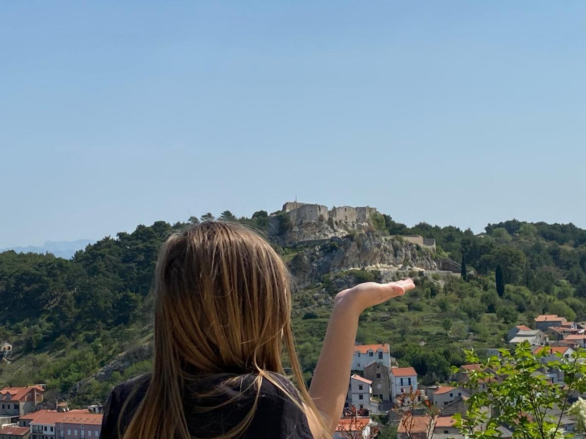 Villa Planita Dalmacija Novigrad  Eksteriør billede